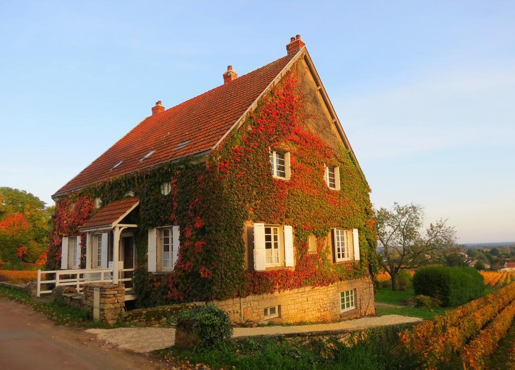 La Passerelle Des Corton B&B Aloxe-Corton Eksteriør billede