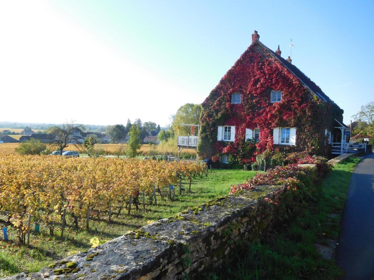 La Passerelle Des Corton B&B Aloxe-Corton Eksteriør billede