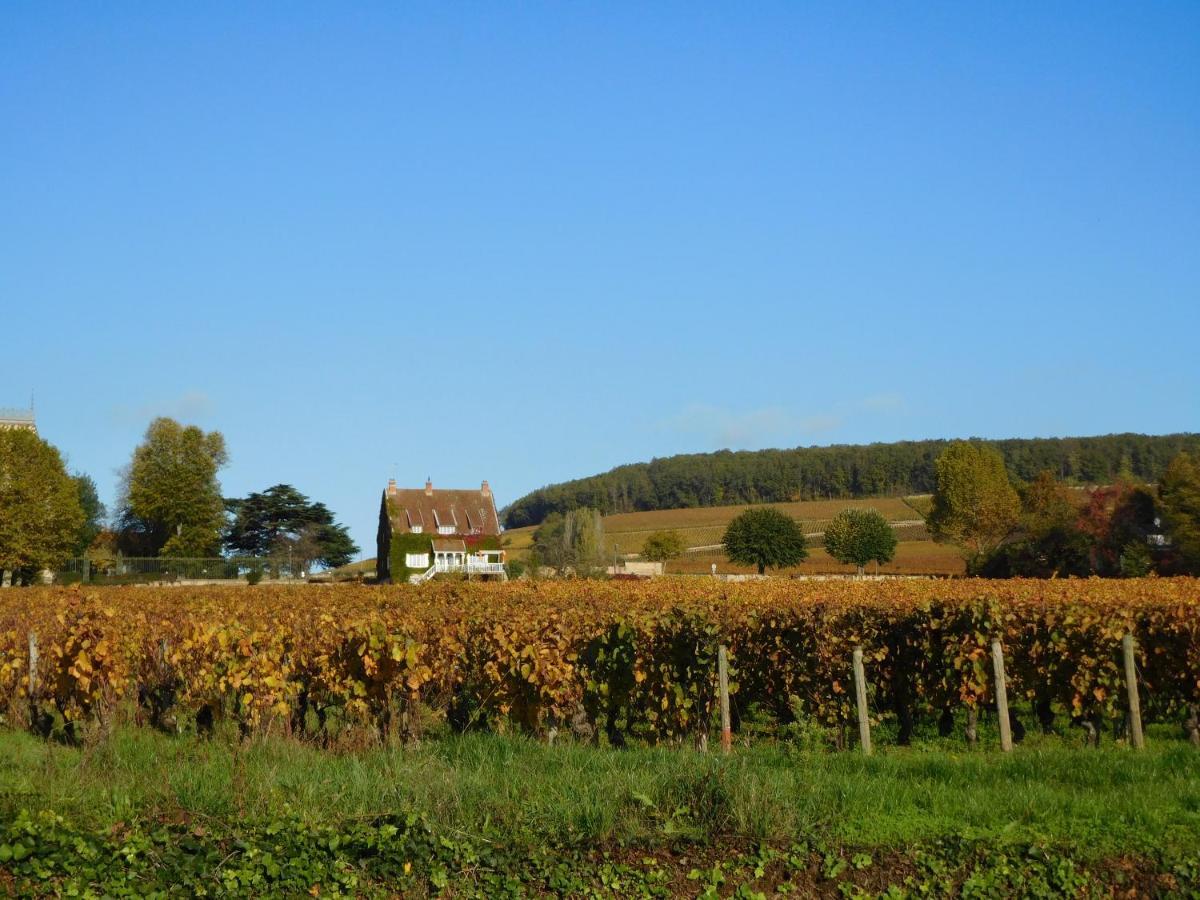 La Passerelle Des Corton B&B Aloxe-Corton Eksteriør billede
